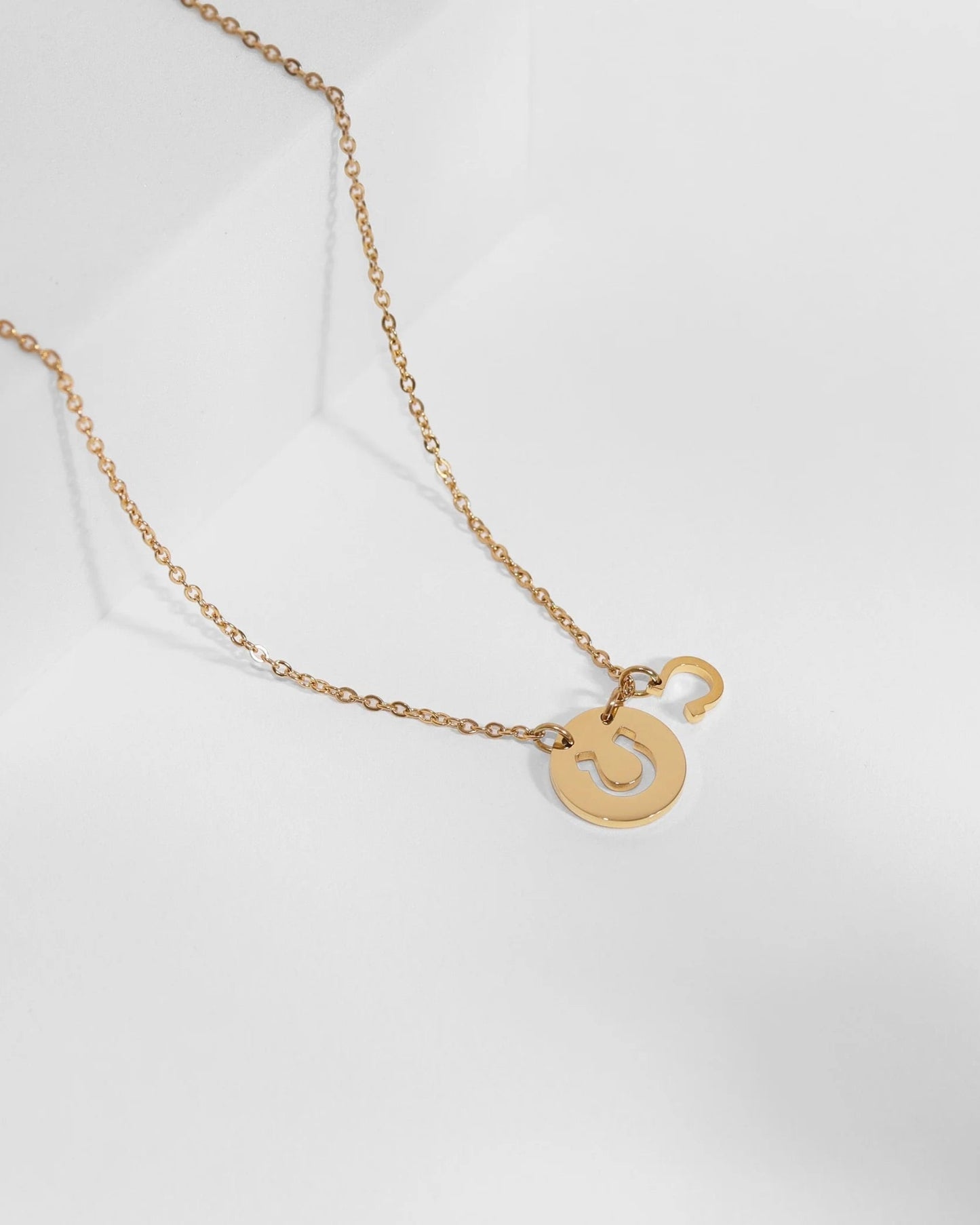 Gold necklace with a horseshoe pendant on a white background.