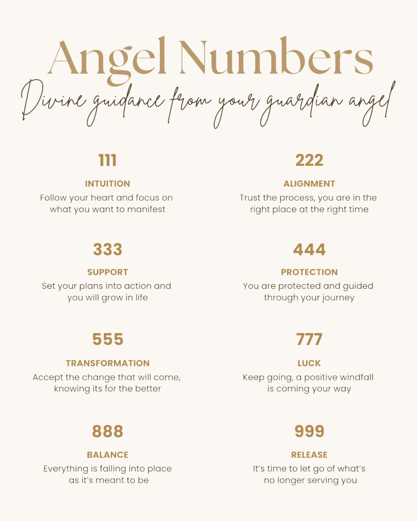 Divine Angel Numbers Necklace (Gold or Silver)