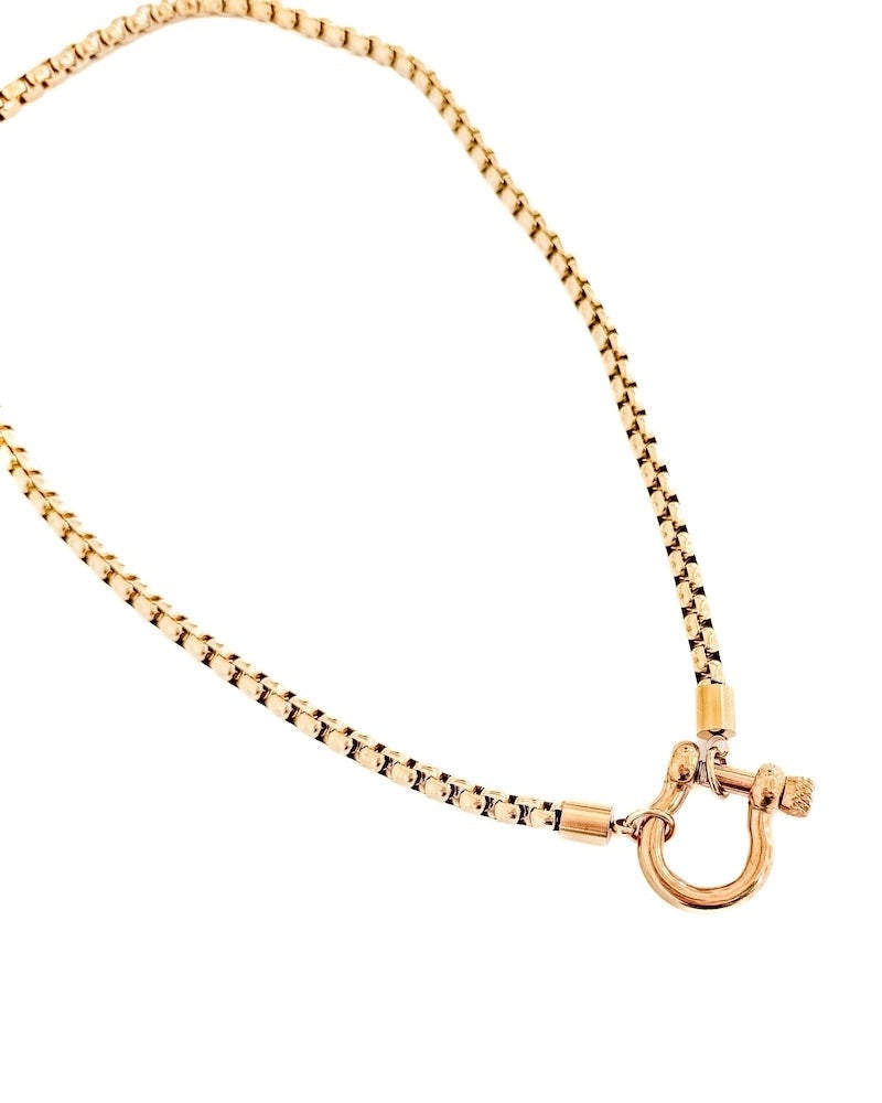 Gold horseshoe chain necklace with a clasp on a white background.