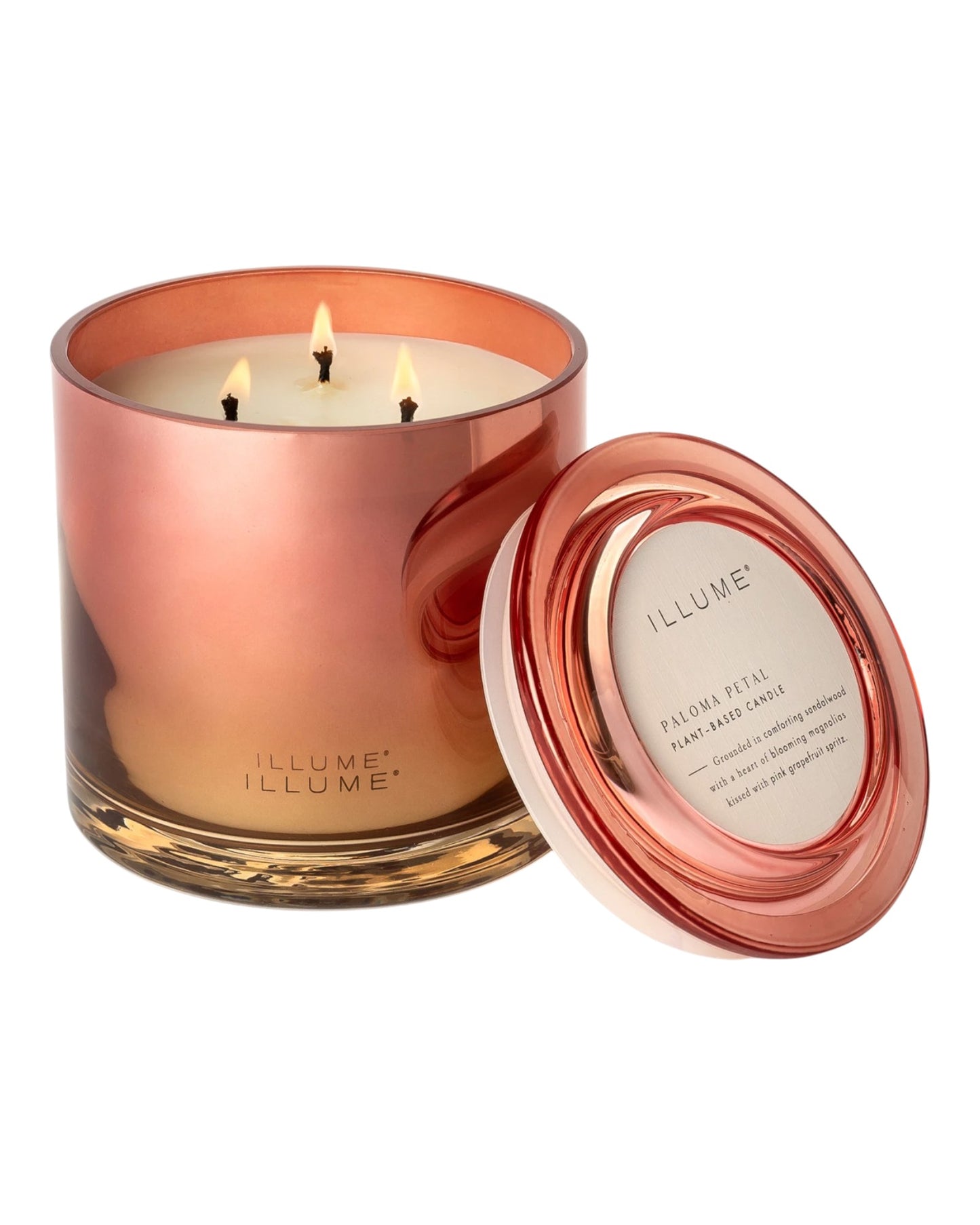 Paloma Petal Statement Glass 3-Wick Candle