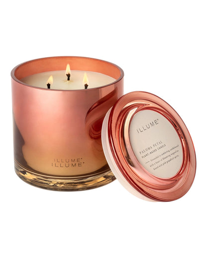Paloma Petal Statement Glass 3-Wick Candle