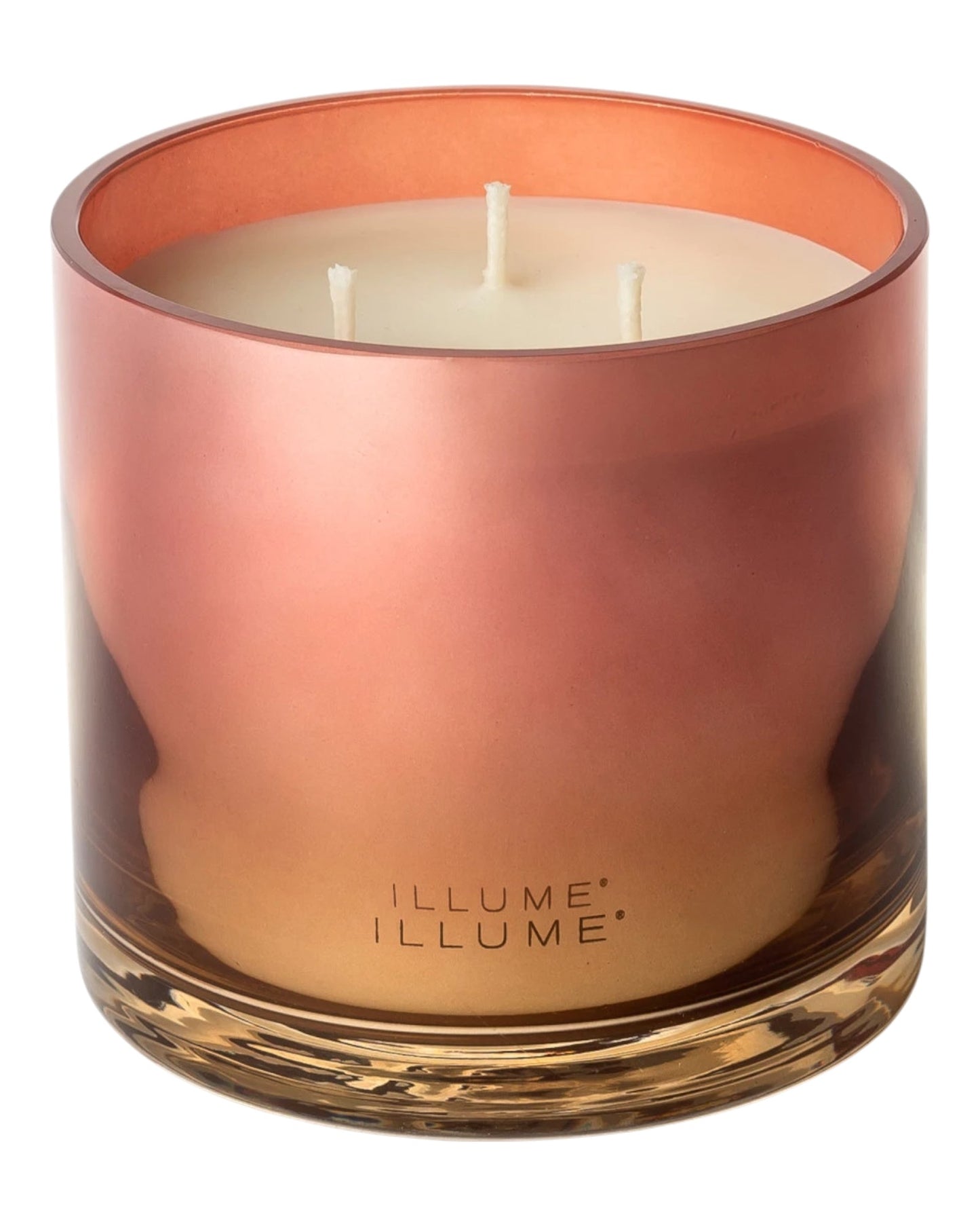 Paloma Petal Statement Glass 3-Wick Candle