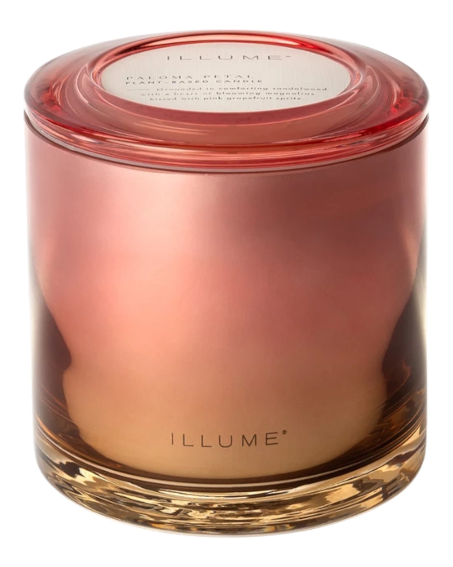 Paloma Petal Statement Glass 3-Wick Candle